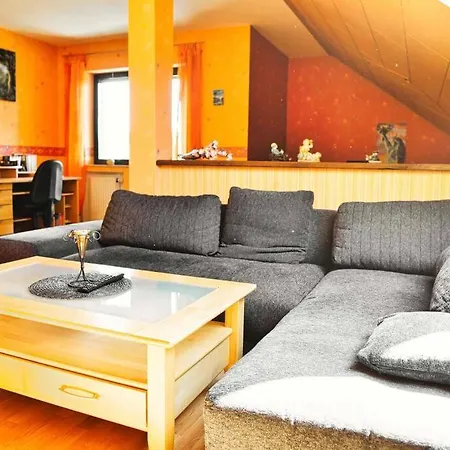 Waldblick In Der Eifel *